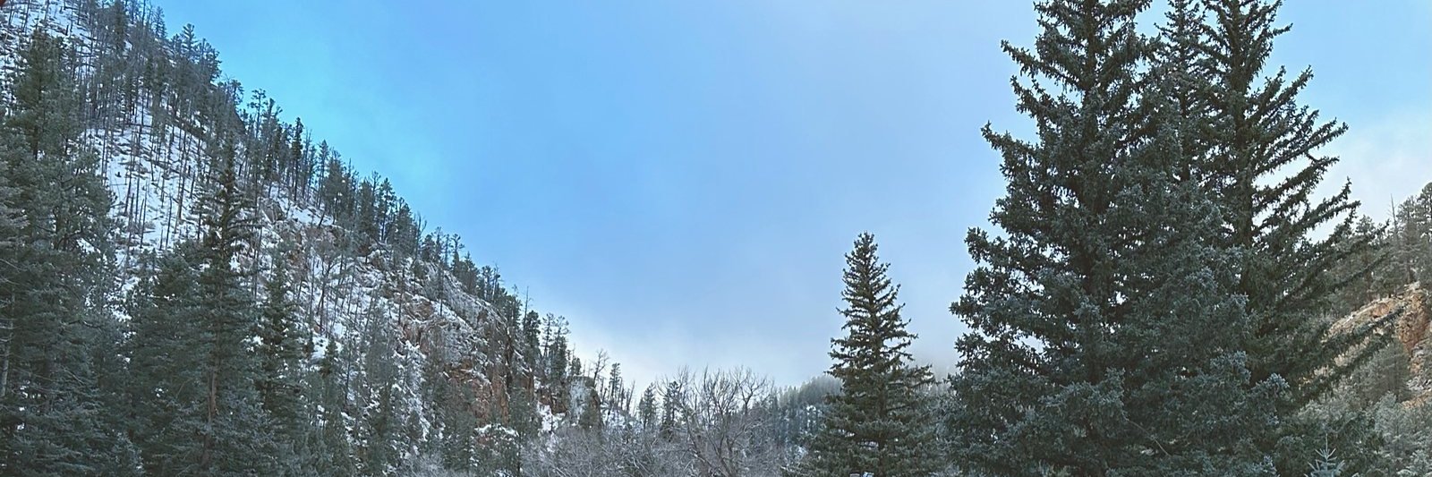 Fresh snow over the canyon cabins, spruce and frosted cottonwood running back up the hillside.