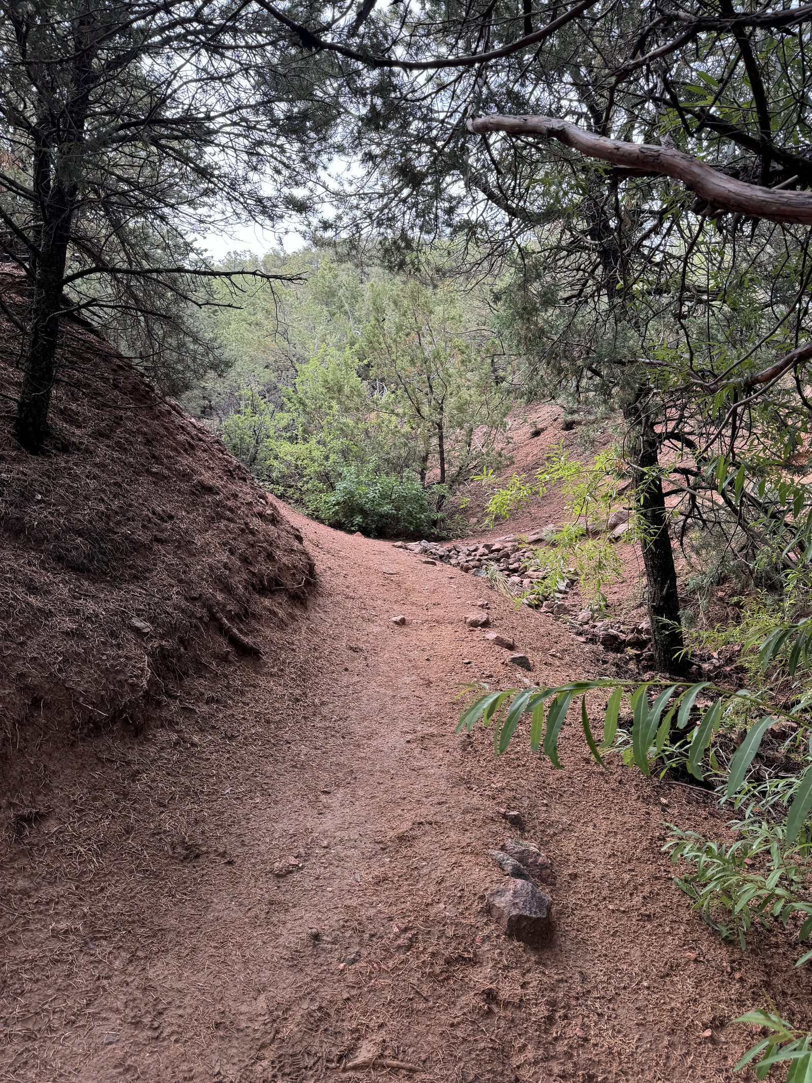 Red dirt single-track winding through pinon and juniper on the foothill trails.