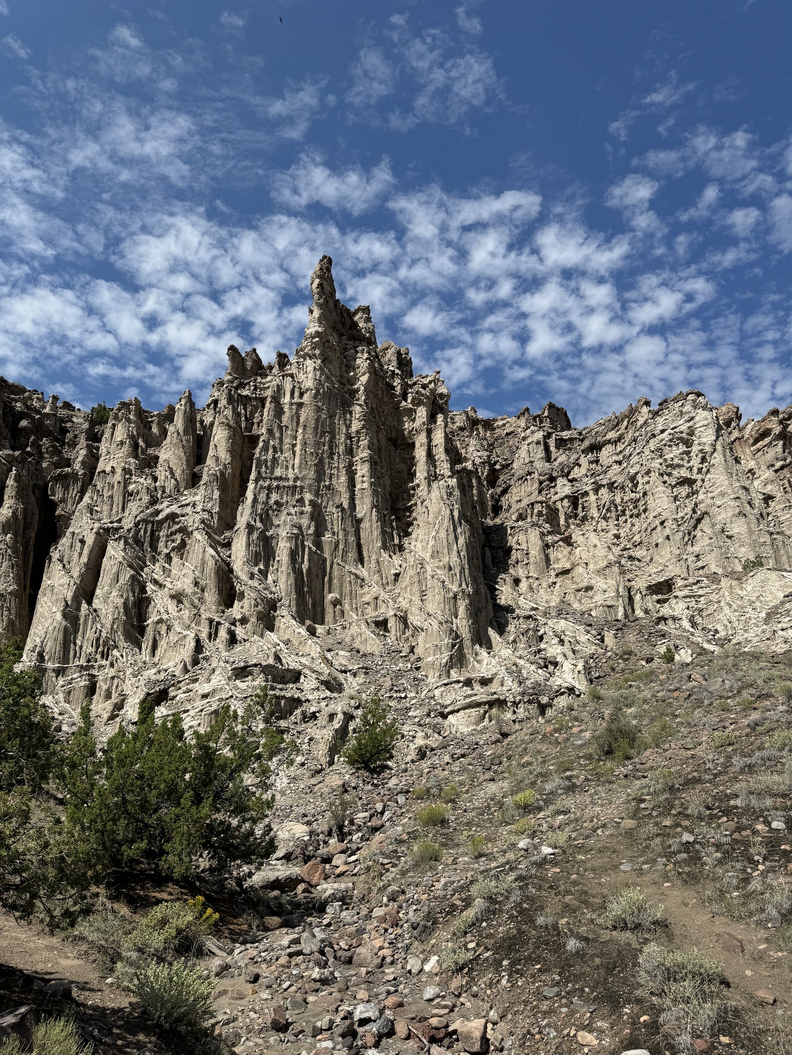 A white rock spire at Plaza Blanca rising into a mackerel sky, junipers at its base.