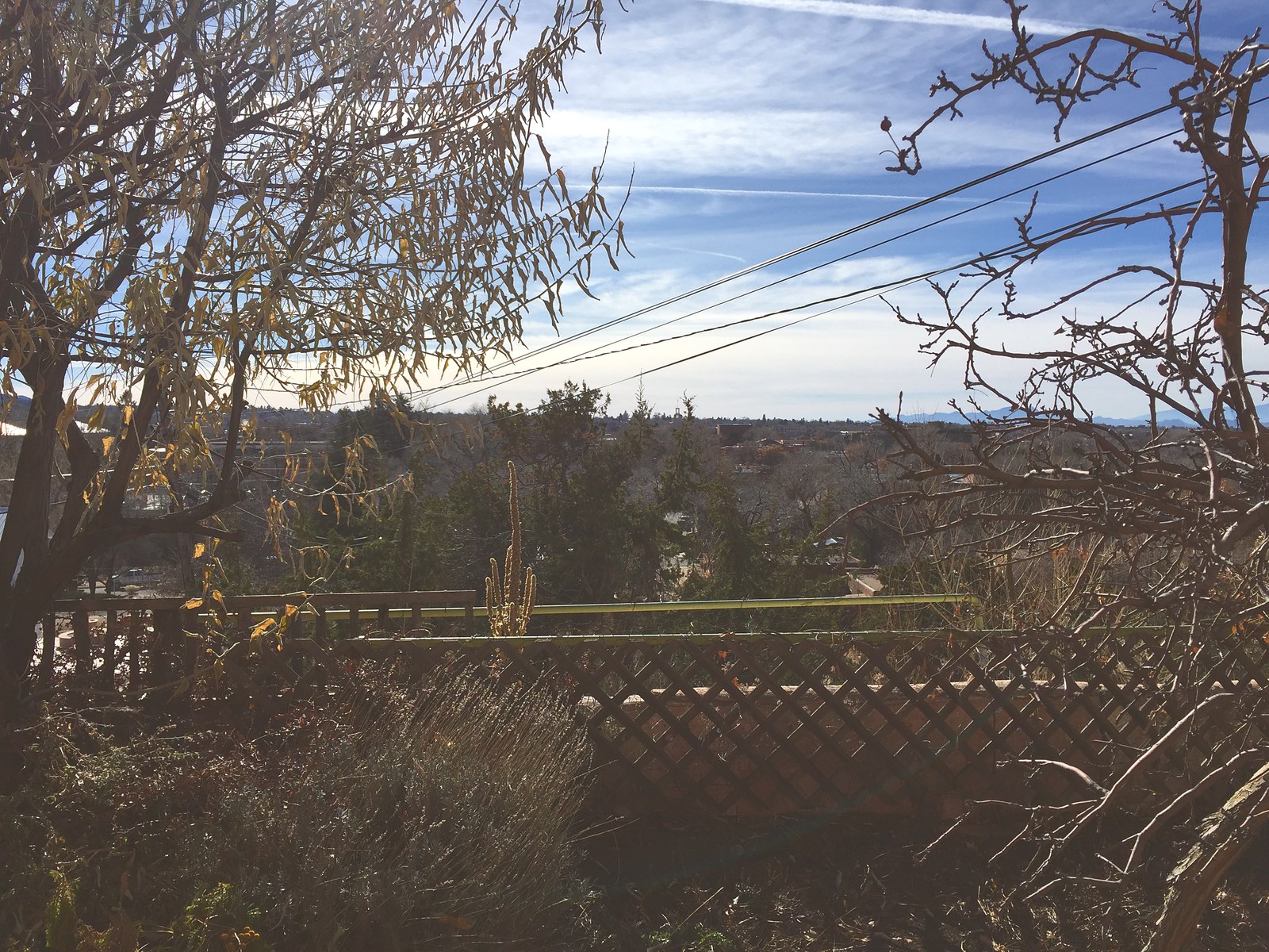 The yard in 2018: a sagging lattice fence, dead growth and bare branches, with the town in the trees below.