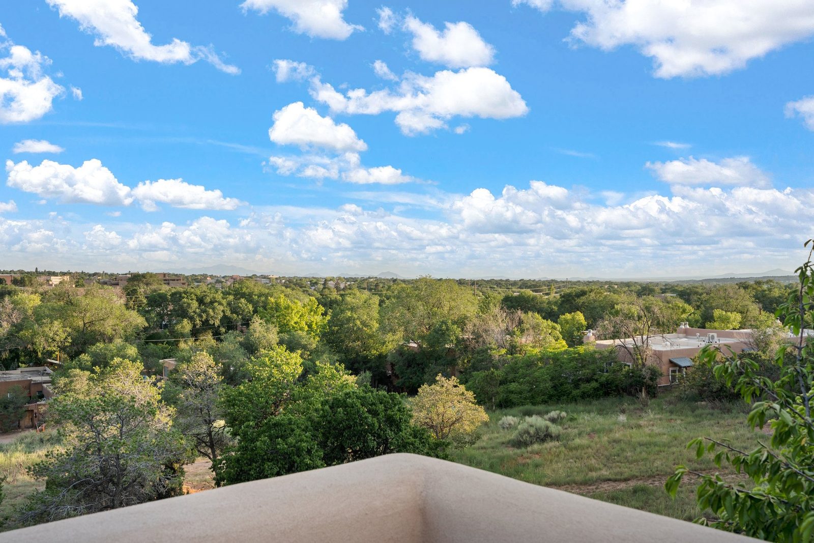 Looking out from the deck across the treetops with nothing built in front of it.